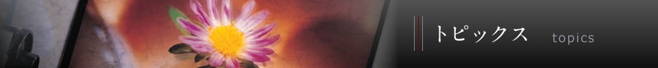 トピックス